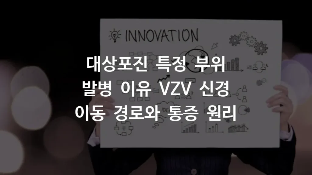 대상포진 특정 부위 발병 이유 VZV 신경 이동 경로와 통증 원리